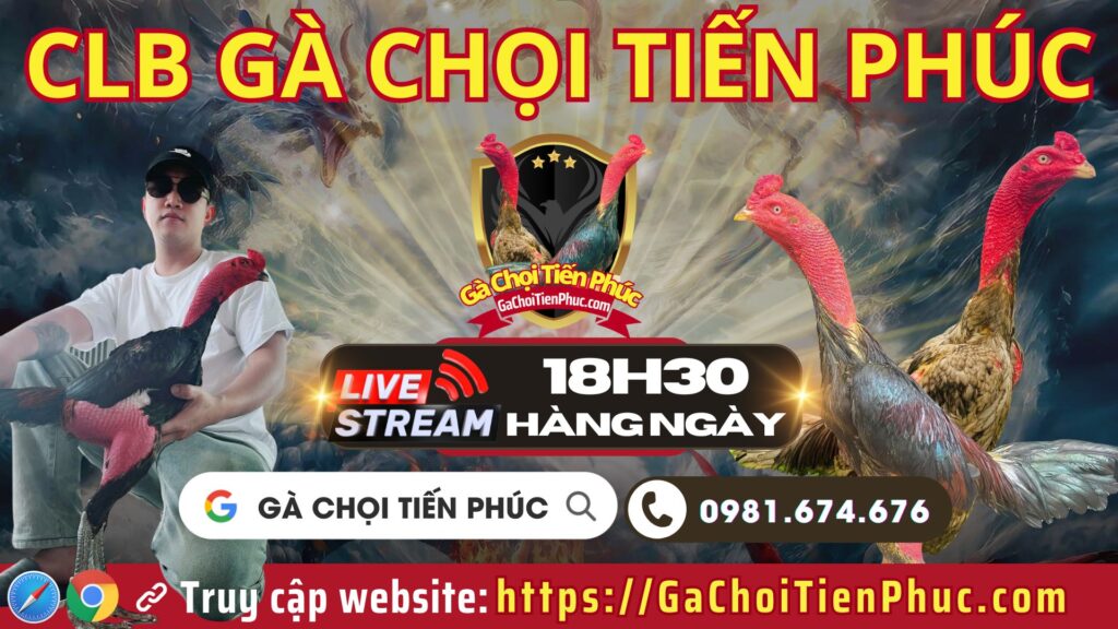 Video 20h08 ngày 19/9 – CLB Gà Chọi Tiến Phúc